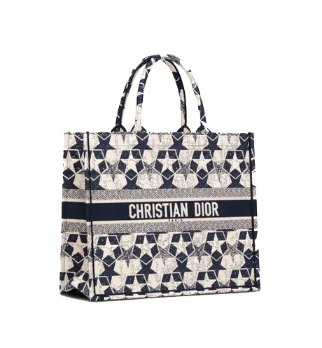 LARGE DIOR BOOK TOTE