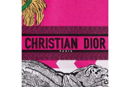 LARGE DIOR BOOK TOTE