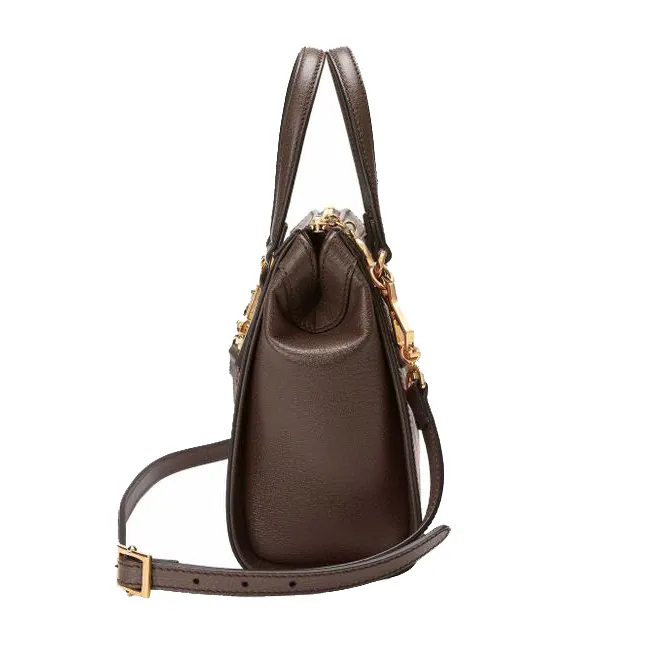 Gucci Women's Brown Small Centum Ophidia Tote Bag